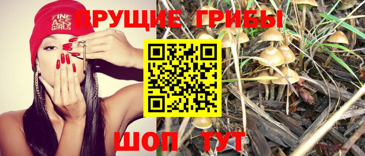 Новочебоксарск  Галлюциногенные грибы мухоморы  Вход с VPN 