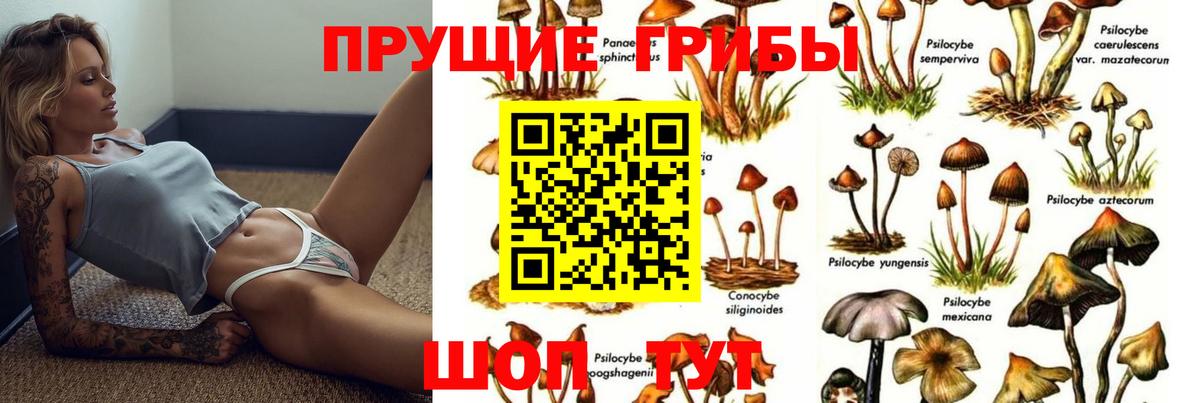 Псилоцибиновые грибы Cubensis Новочебоксарск